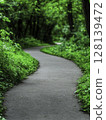 Serene Curved Pathway Through Lush Green Forest in Bright Daylight Setting 128139472