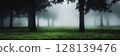 Serene Misty Forest Scene with Green Grass and Tall Trees Under Soft Foggy Atmosphere 128139476