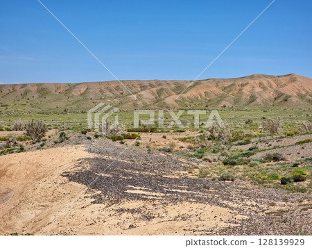 Amazing Landscape Of The Desert  128139929