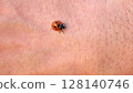 Ladybug on the back of the hand 128140746