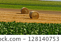 Hokkaido scenery: sugar beet fields and hay rolls 128140753