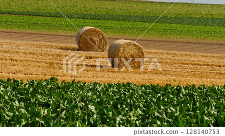 Hokkaido scenery: sugar beet fields and hay rolls Hokkaido scenery: sugar beet fields and hay rolls 128140753