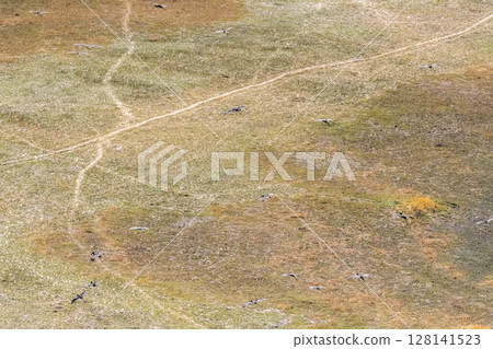 African openbill Flying over the Okavango Delta 128141523