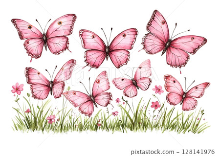 Beautiful Collection of Pink Butterflies and Flowers with Delicate Watercolor Style 128141976