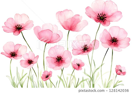 Delicate Pink Flowers with Soft Petals and Green Stems on White Background 128142036