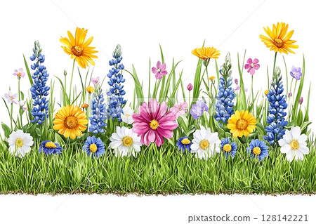 Vibrant Flower Meadow with Colorful Blossoms and Lush Green Grass in Summer Sunshine 128142221