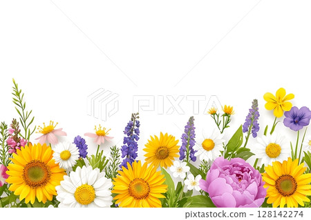 Colorful Wildflower Border with Bright Blooms and Green Foliage on White Background 128142274