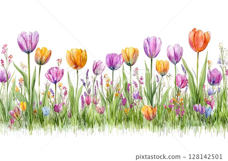 Vibrant Watercolor Floral Design with Colorful Tulips and Wildflowers in Blooming Meadow 128142501