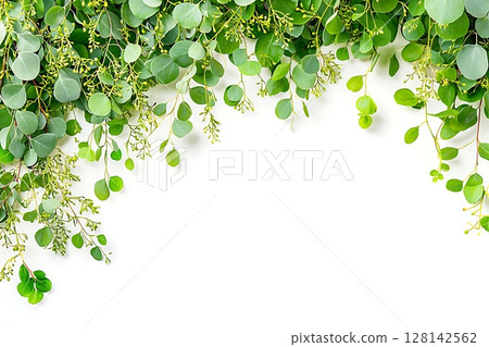 Fresh Green Leaves Arrangement on White Background for Design and Decoration Purposes 128142562