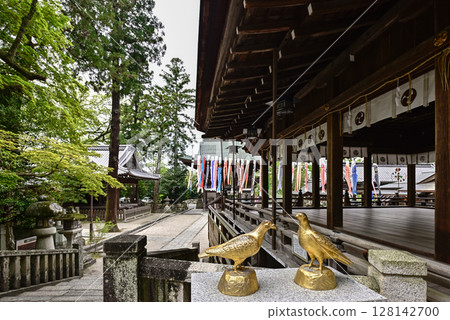 Himure Hachiman Shrine: Golden dove statues and carp streamers Himure Hachiman Shrine: Golden dove statues and carp streamers 128142700