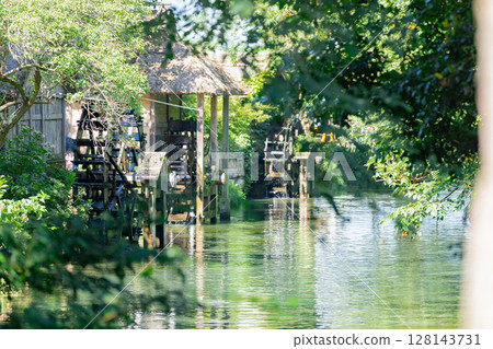 <Azumino> Spectacular view of the waterwheel and beautiful stream at Daio Wasabi Farm <Azumino> Spectacular view of the waterwheel and beautiful stream at Daio Wasabi Farm 128143731