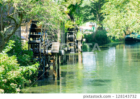 <Azumino> Spectacular view of the waterwheel and beautiful stream at Daio Wasabi Farm 128143732