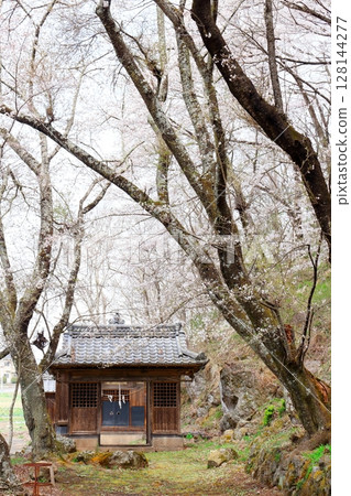 Spring in the Sanada region of Shinshu - Scenery of Shinshu 128144277