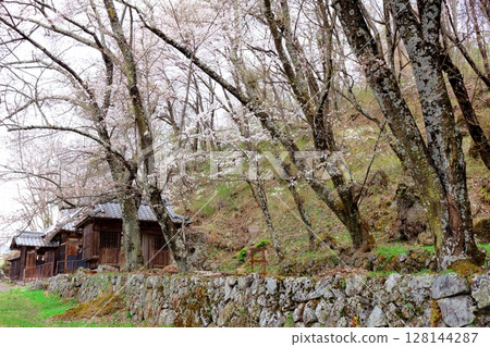 信州真田的春天 - 信州風景 信州真田的春天 - 信州風景 128144287