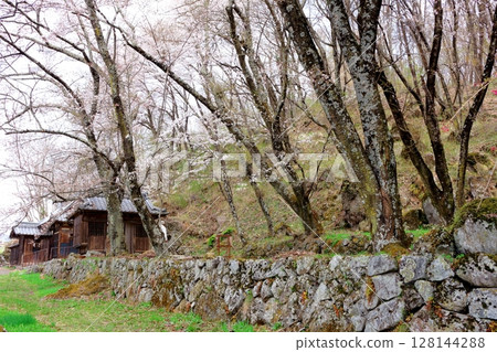 信州真田的春天 - 信州風景 信州真田的春天 - 信州風景 128144288