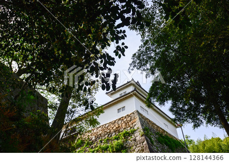 Hikone Castle Balance Opener 128144366