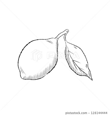 Cartoon Lemon With Single Leaf Vector Illustration 128144444