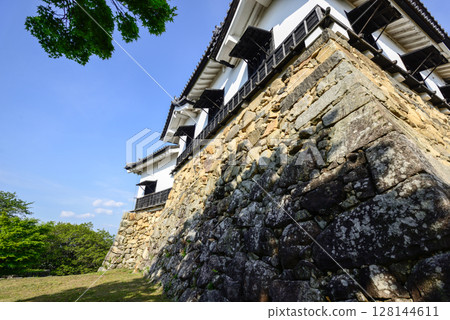 Takamori Hikone castle 128144611