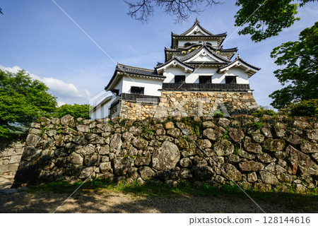 Takamori Hikone城堡 128144616