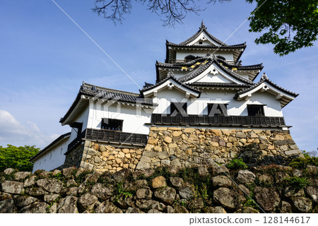 Takamori Hikone城堡 128144617