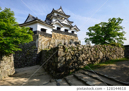 Takamori Hikone castle 128144618
