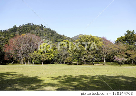 出雲大社東側有草木繁茂的美麗廣場 128144708