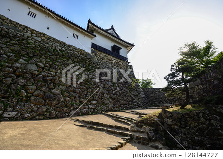 Hikone Castle Walls (Stone Walls) 128144727
