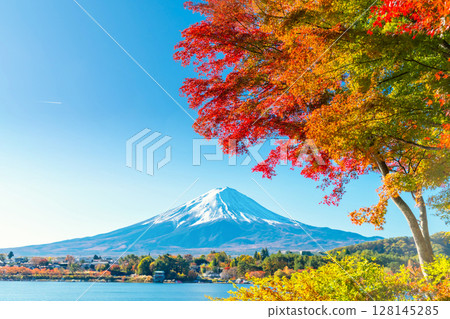 Fuji and the autumn leaves of Kawaguchiko Fuji and the autumn leaves of Kawaguchiko 128145285