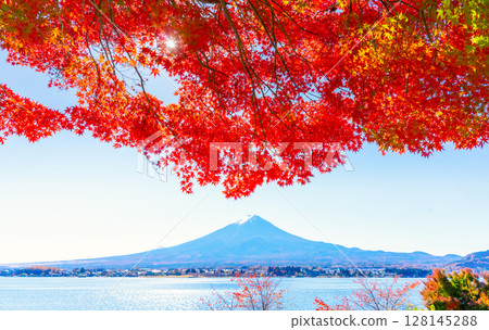 Fuji and the autumn leaves of Kawaguchiko 128145288