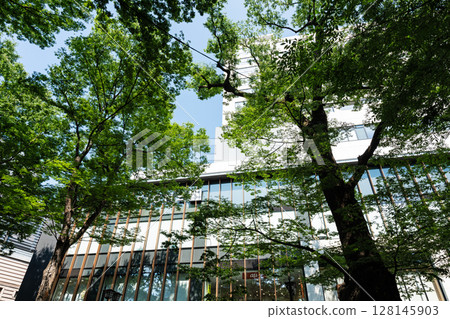 Musashifuchu Le Signe seen from the Zelkova-lined street in front of Fuchu Station, Miyacho, Fuchu City, Tokyo 128145903