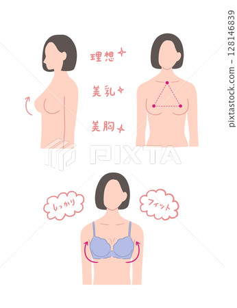 具有美麗乳房形狀的女性插圖集 具有美麗乳房形狀的女性插圖集 128146839