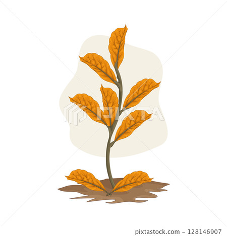 Illustration of Plant Illustration of Plant 128146907