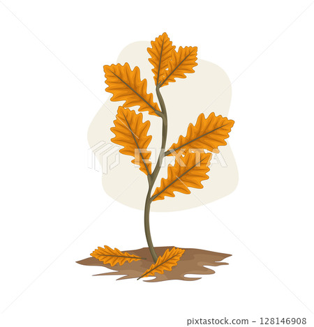 Illustration of Plant Illustration of Plant 128146908