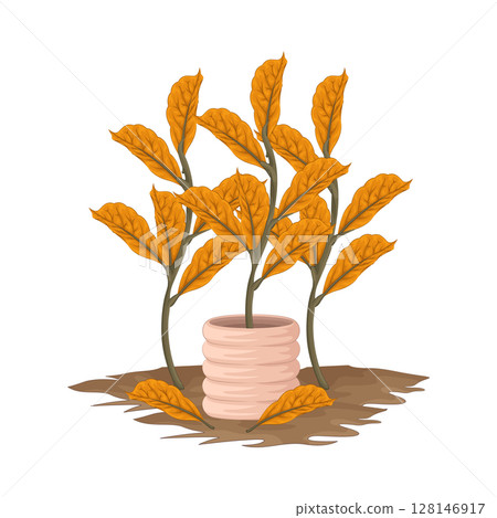 Illustration of Plant  128146917