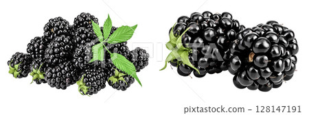 blackberry with leaf isolated on a white background closeup. 128147191
