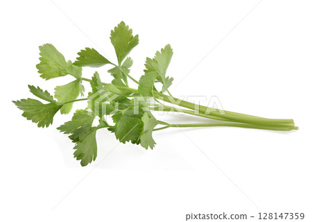 Fresh celery isolated on white background. 128147359