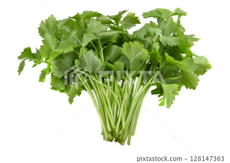 celery, parsley bunch on white background 128147363