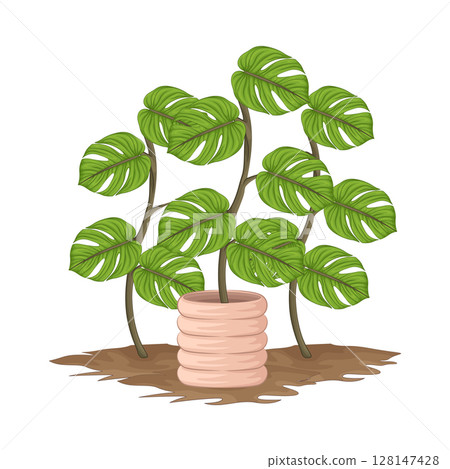 Illustration of Plant 128147428