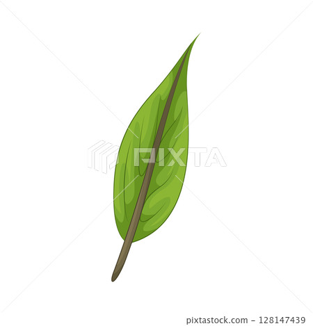 Illustration of Leaf 128147439