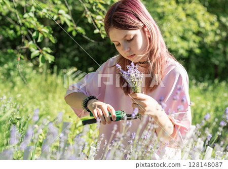 Girl harvesting lavender in blooming field on sunny summer day 128148087