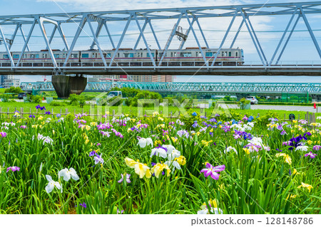 <<Tokyo>> Koiwa Iris Garden, Japanese Iris and Keisei Line 128148786