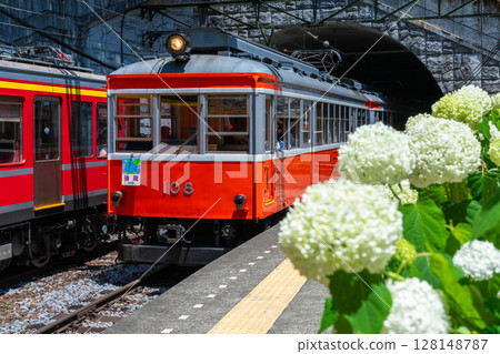 <神奈川縣> 紫陽花列車/箱根登山鐵道塔之澤站 128148787