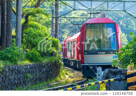 <神奈川縣> 紫陽花列車 / 箱根登山鐵道強羅站 128148788