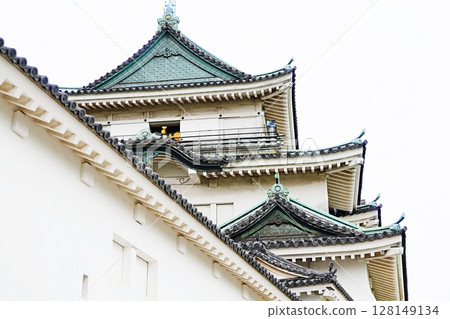 Wakayama Castle, Wakayama City, castle tower (main tower) and earthen walls (from the west, early summer) 128149134
