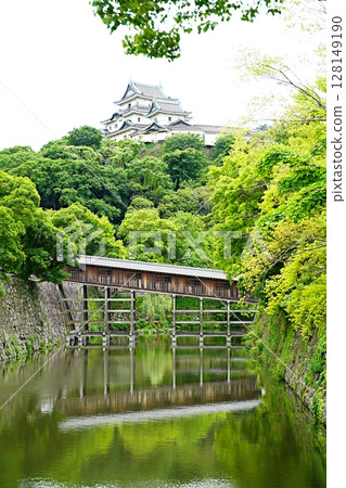 Wakayama Castle, Wakayama City, castle tower and bridge corridor (from the north, early summer) 128149190