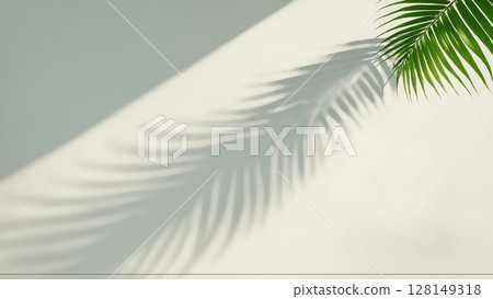background with blurred foliage shadow on white wall and palm leaves 128149318