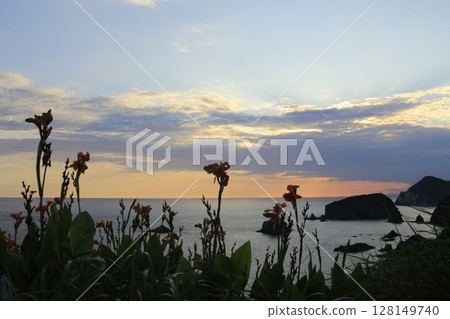 Wildflowers blooming on cliffs Wildflowers blooming on cliffs 128149740