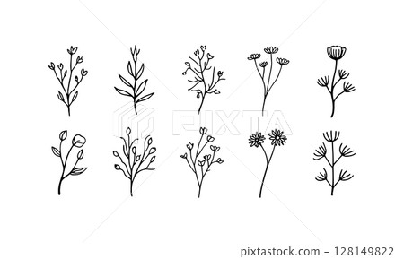 Delicate Ink Flowers. Light and delicate ink flower drawings with blooming heads and elegant organic composition. Delicate Ink Flowers. Light and delicate ink flower drawings with blooming heads and elegant organic composition. 128149822