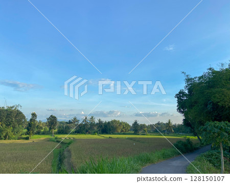 summer landscape with the country houses 128150107
