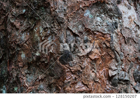 Close-up natural texture of rugged tree bark surface with dark and brown tones. 128150207